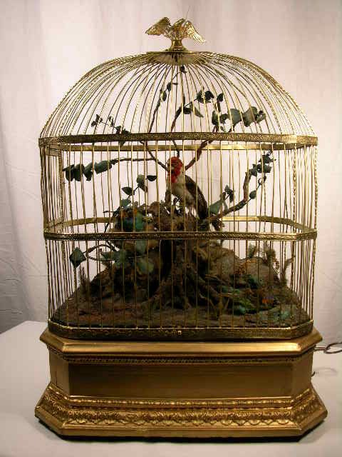 BONTEMS BIRD AUTOMATON