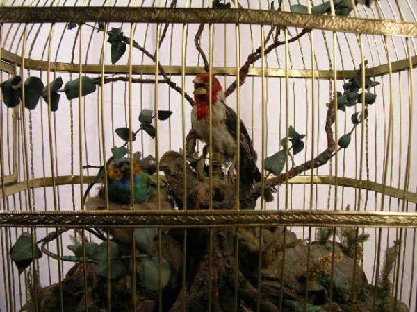 BONTEMS BIRD AUTOMATON - 2