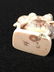 Carved Netsuke figure of a man on the back of a boar. - 4