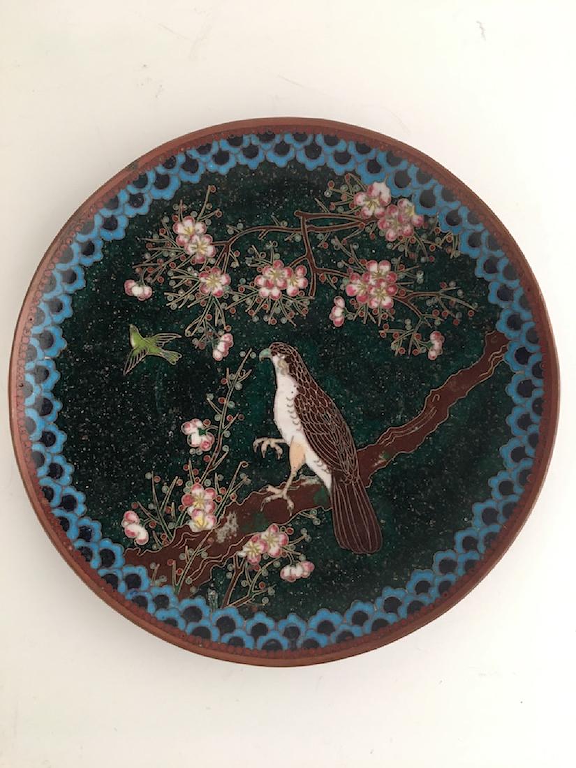 Japanese Meiji period cloisonne plate: Japanese Meiji period cloisonne plate with one large bird perched on a tree branch and a smaller one flying near flowering trees. Diameter 5 7/8 inches.