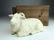 A wonderful porcelain model of a reclining goat in a hi - 2