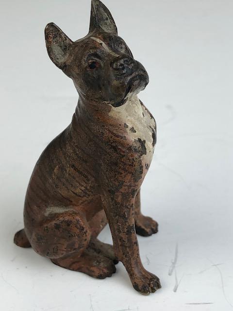 Vienna bronzeVienna bronze figure of a standing Boxer: Vienna bronze figure of a standing Boxer dog. Height 2 3/4 inches.