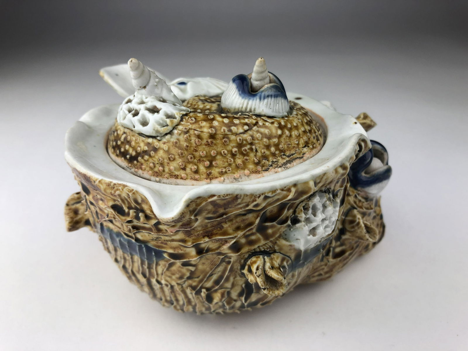 A large Hirado sea shell covered box with applied: A large Hirado sea shell covered box with applied shells and objects applied to the body and top of the jar. Three of the shells with movable pieces.Circa 1880.Diameter 5 3/4 inches. Height 4 1/2 inch