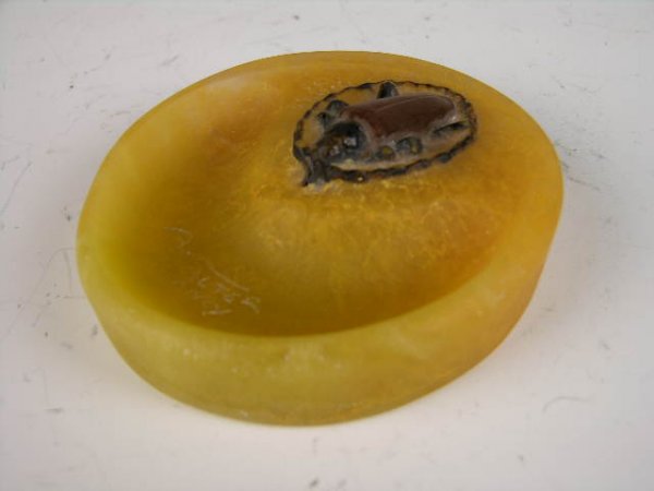 ALMERIC WALTER PATE DE VERRE DISH.: AN ALMERIC WALTER NANCE BERGE PATE DE VERRE DISH WITH A SCARAB ON TOP. LENGTH 4".