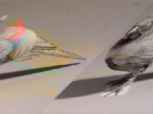 IVORY CARVING OF A PHEASANT (ONE CLAW MISSING ON: IVORY CARVING OF A PHEASANT (ONE CLAW MISSING ON FOOT). HEIGHT 2 7/8".INTERNATIONAL SHIPPING IS NOT AVAILABLE FOR THIS ITEM. THIS ITEM WILL ONLY BE SHIPPED WITHIN THE UNITED STATES. WE DO NOT VIOLATE