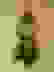 item-8109716=2