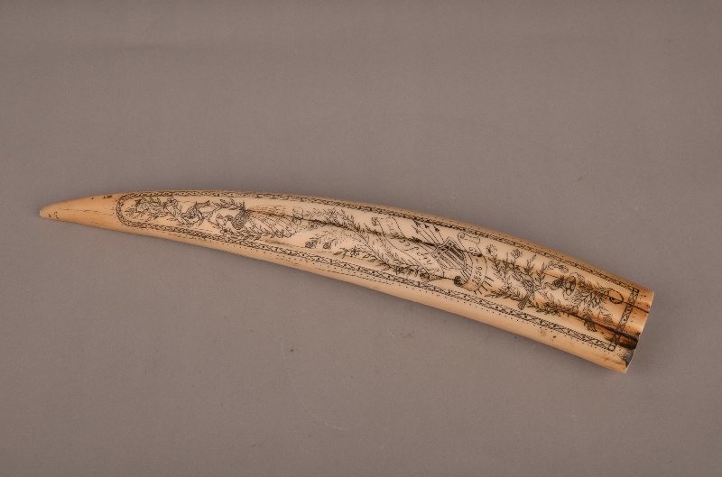 A carved Scrimshaw type with sailing ships etched.: A carved Scrimshaw type with sailing ships etched on one side and the other side with etched "Ship Sachem 1856-59". Length 15 3/4".