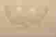 item-31416252=2