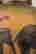 item-31416270=4
