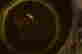 item-31416270=7