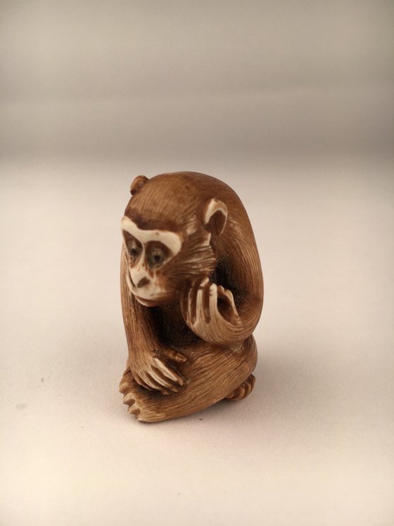 Carved Netsuke figure of a seated monkey. (1 of 4)