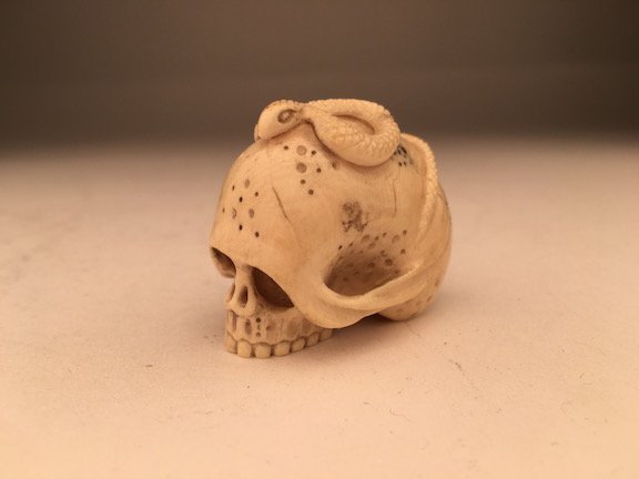 Carved Netsuke figure of a skull with a snake on top.: Carved Netsuke figure of a skull with a snake on top. Signed. Height 1 3/4 inches.