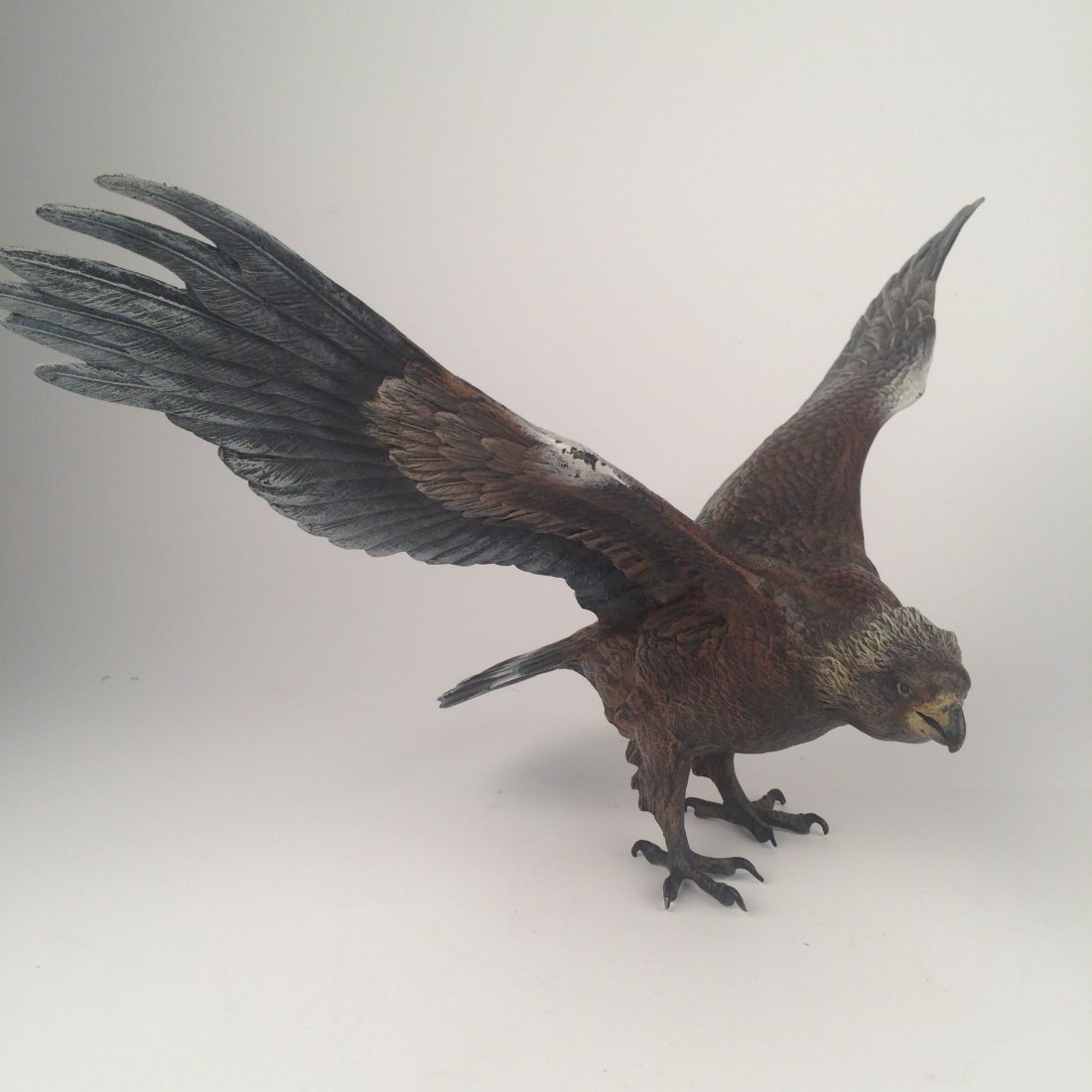 Cold painted Vienna bronze Eagle in flight. (1 of 3)