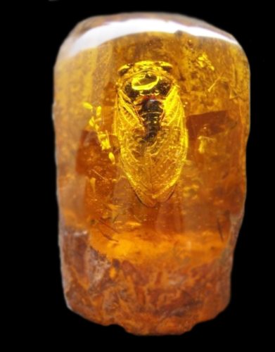 Fine Amber Piece, 3100 Carats: Nice sized baltic amber piece with trapped insect. Good butterscotch golden color. Height: 12cm Weight: 620grams