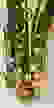 item-104486958=3