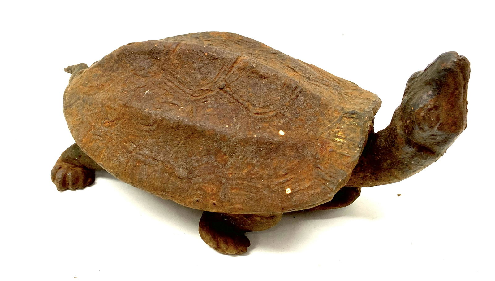 Cast Iron Turtle (1 of 3)