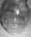 item-135706289=7