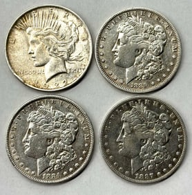 Silver Dollars