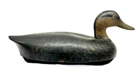 Black Duck Decoy