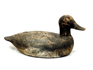 Blue Bill Duck Decoy