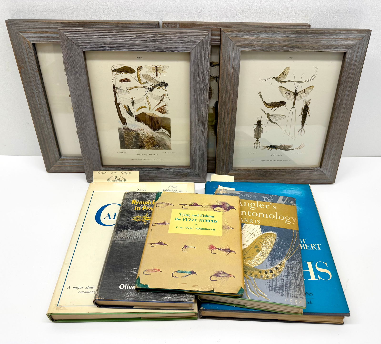 Fly Fishing Related Books and Framed Colored Plates (1 of 11)