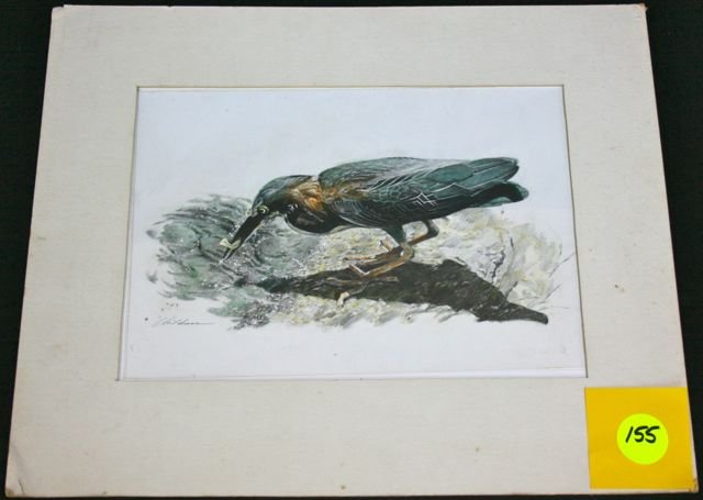 Childress B&W drawing: B&W drawing of a seabird w/fish in it's mouth, Plastic covering colored to give the effect of a colored image. "For Sue" written on back. for daughter Susan who passed away