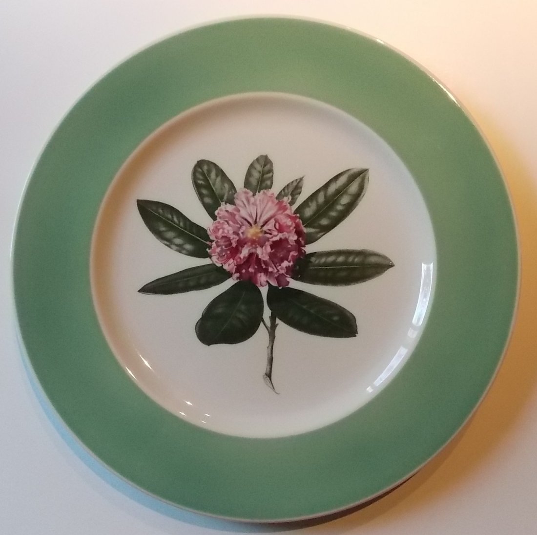 Chesapeake & Ohio – Greenbrier Service Plate: This Greenbrier Hotel service plate features the Rhododendron. It has a nice Onondaga Pottery backstamp stating that that the Greenbrier was in White Sulphur Springs and the State Flower of West Virgi
