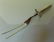 Louisiana & Arkansas Railway Meat Fork - 3