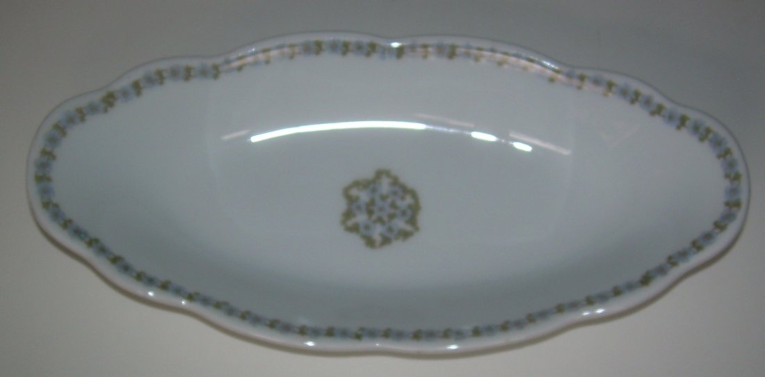 Lehigh Valley "Asa Packer" China Celery Dish (1 of 4)