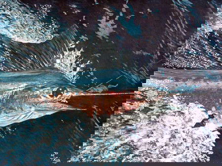 Painting Fish Water American Blue Medvis: 12" x 16" Unframed Watercolor Painting. White Marlin, By Bonnie Medvedis Artist Biography: As a resident of Bucks County Pennsylvania, a community with an overwhelming population of artists, Bonnie ha