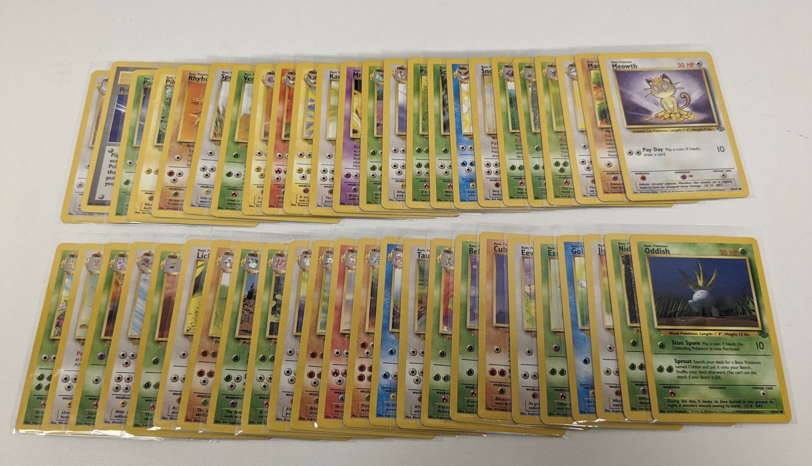 Pokémon TCG - Complete Jungle Set 64/64 - Graded and Ungraded Collection: This lot features a complete Jungle expansion, the second ever Pokémon trading card set released in 1999. This collection comes from someone's childhood collection who slowly started to get the set g
