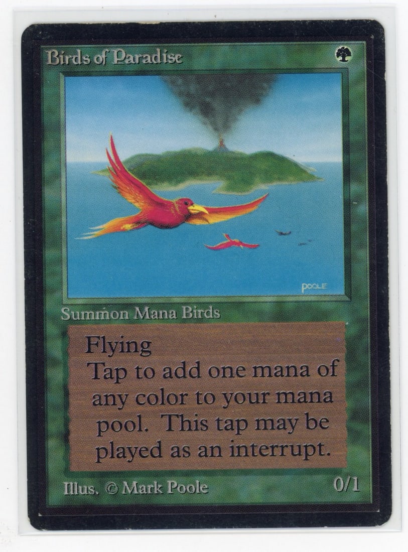 Birds of Paradise - Beta (GD) (1 of 2)