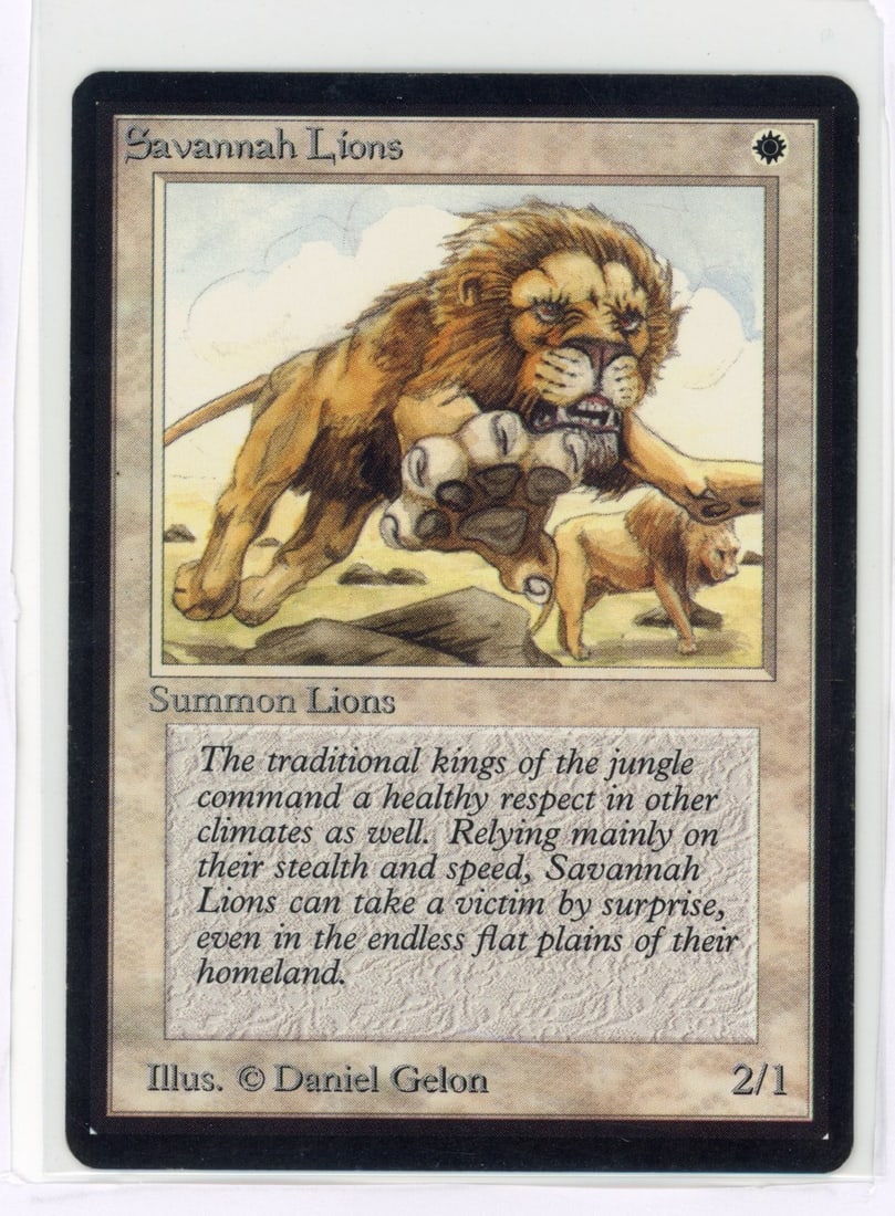 Savannah Lions - Beta (EX): Savannah Lions from Beta, in Excellent condition.This iconic 'white weenie' looks incredible. The card is extremely clean, with only very light surface marks and almost perfect borders when viewed