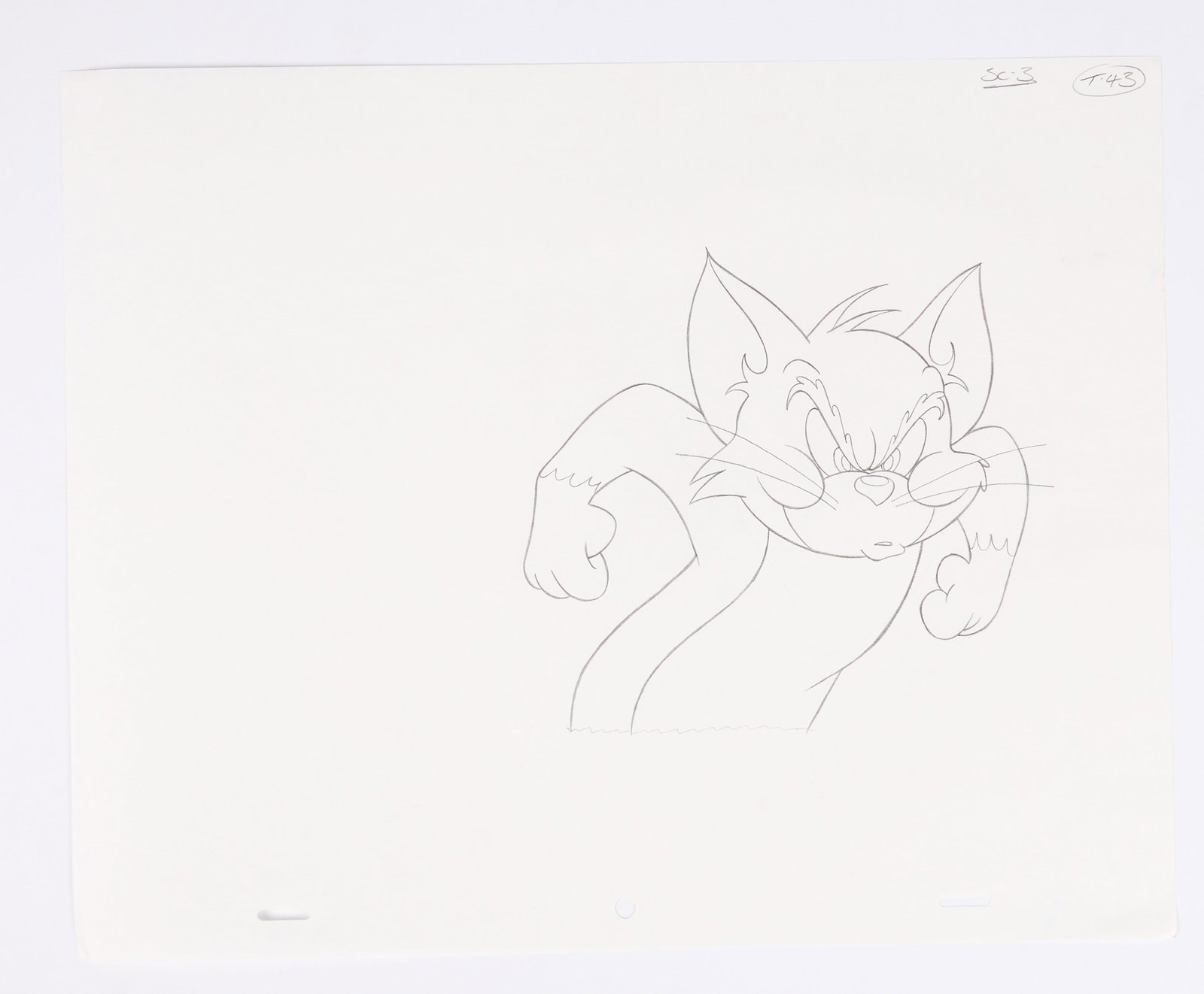 Tom And Jerry Animation Drawing For Ford Mondeo Advert (Large Company, 2003) Total 31: Tom And Jerry Animation Drawing For Ford Mondeo Advert (Large Company, 2003).A collection of twenty five animation sketches of a movement sequence of Tom from a Ford Mondeo advert. Number T1-43, with 