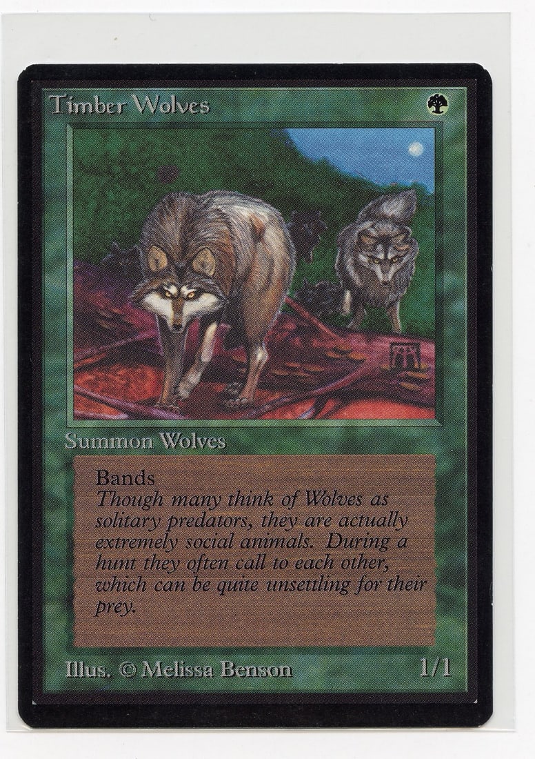 Timber Wolves - Beta (EX+): Timber Wolves from Limited Edition Beta in Excellent+ condition, with only extremely minor border wear and surface marks.