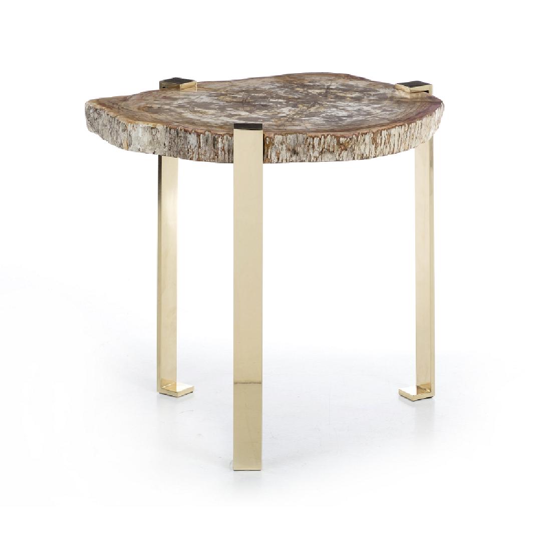 Fossilized wood Coffee table: Fossilized wood Coffee table Gilt brass structure, top with fossilized tree cut from the miocene period. Dim .: 60x63x58cm.