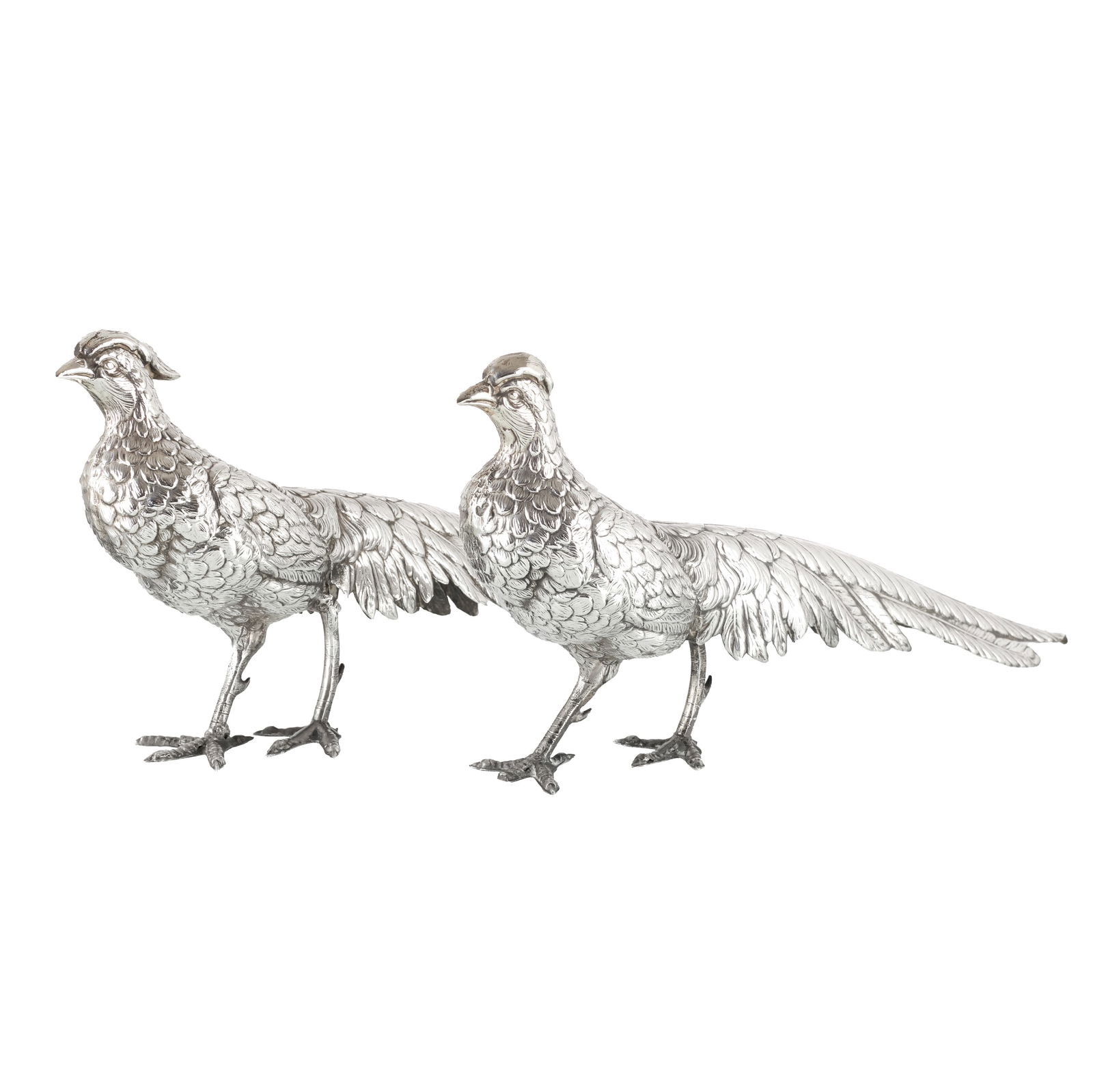 Pair of Spanish silver pheasants (1 of 1)