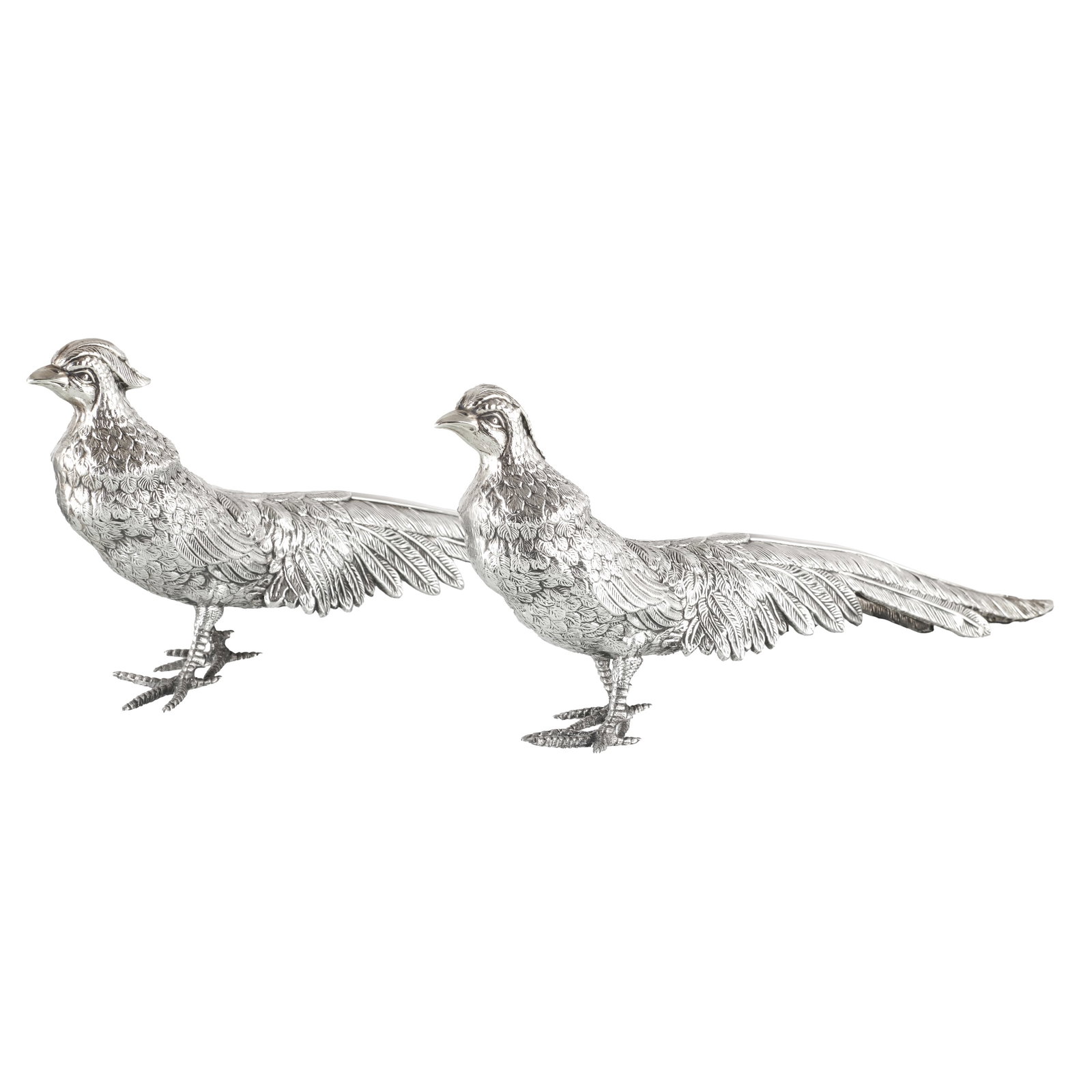 Pair of Spanish silver pheasants (1 of 1)