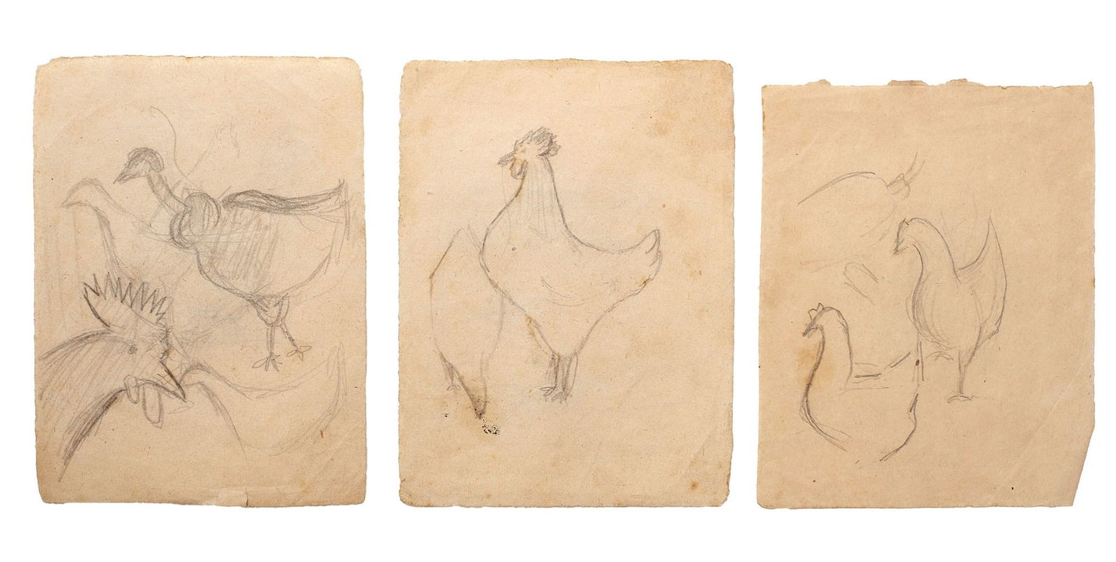 DOMINGUEZ ALVAREZ (1906-1942) - Three sketches of gallinaceous birds, 20th century (1 of 1)