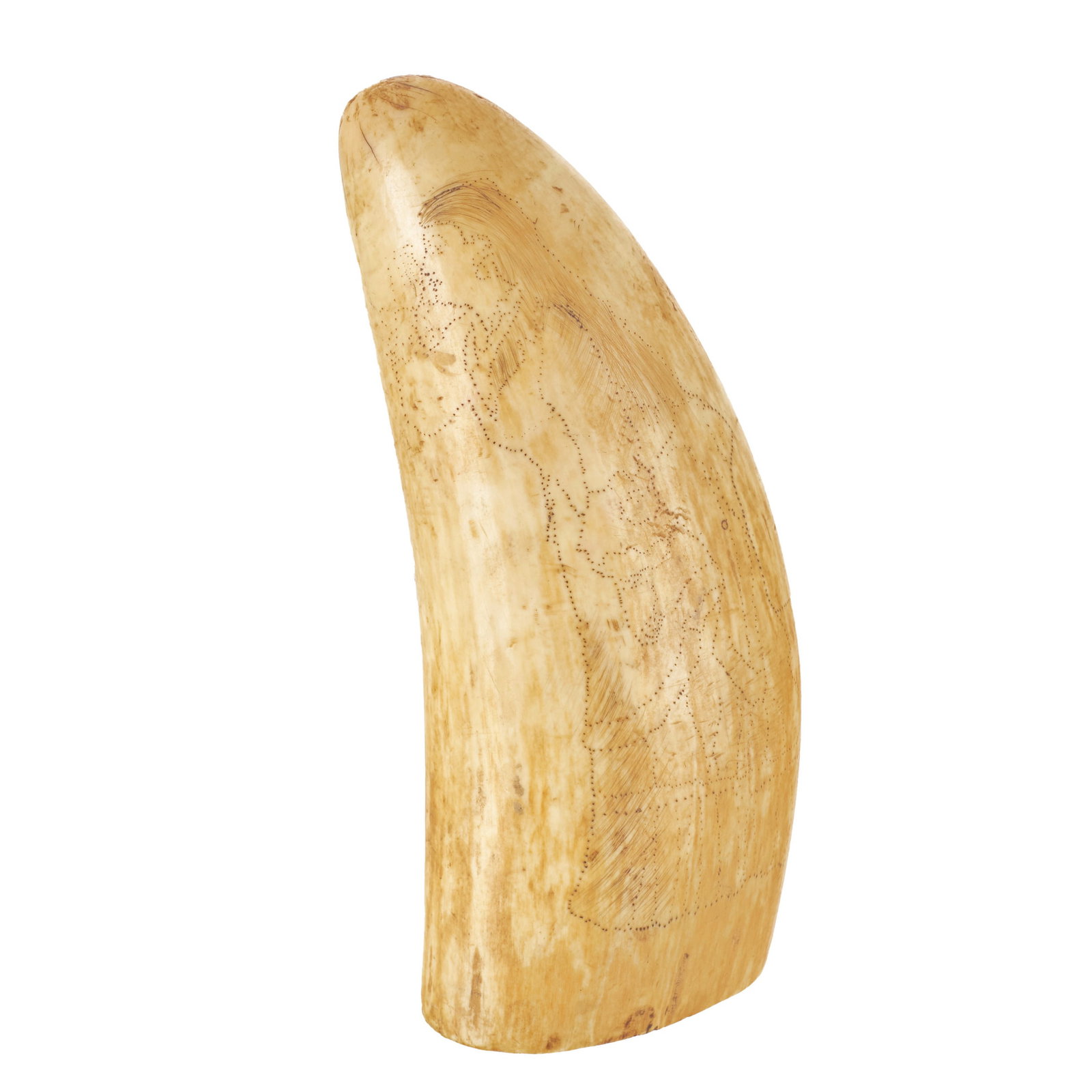 Decorated whale tooth / scrimshaw (1 of 1)