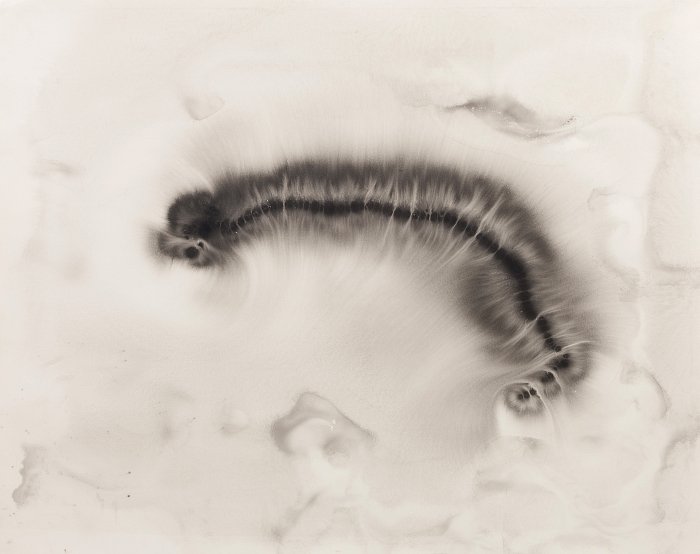 ERNESTO NETO (n.1964) - 'Untitled': Mixed technique, wash, on paper. Signed on the back. Dim.:79,5x100cm.