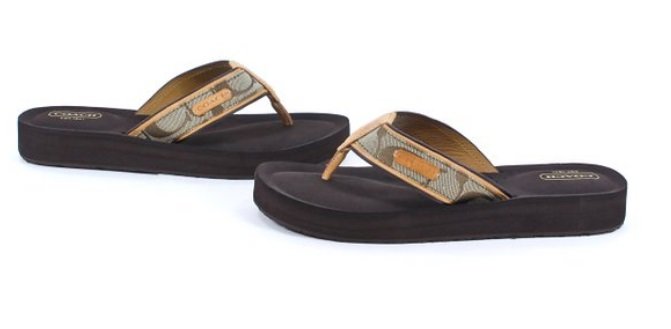 size 7.5 Coach Juanita Brown Khaki Signature Flip Flop: Coach Juanita Brown Khaki Signature Flip Flop Sandal Shoe