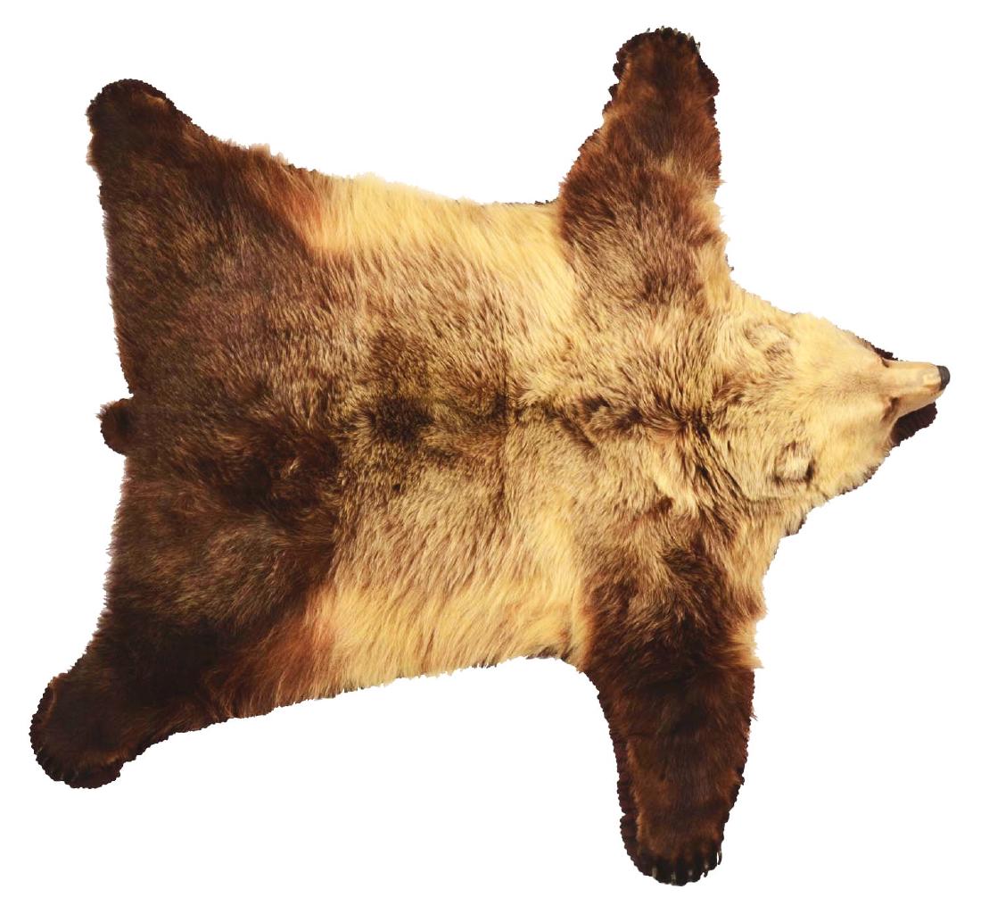 Fantastic Grizzly Bear Full Rug.: A phenomenal Grizzly Bear full-size taxidermy rug, including a full, raised head with an open mouth pose. Heavy thick fur with very light honey blonde color all over, fading into blackish paws.Dimensi