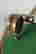 item-52470955=5