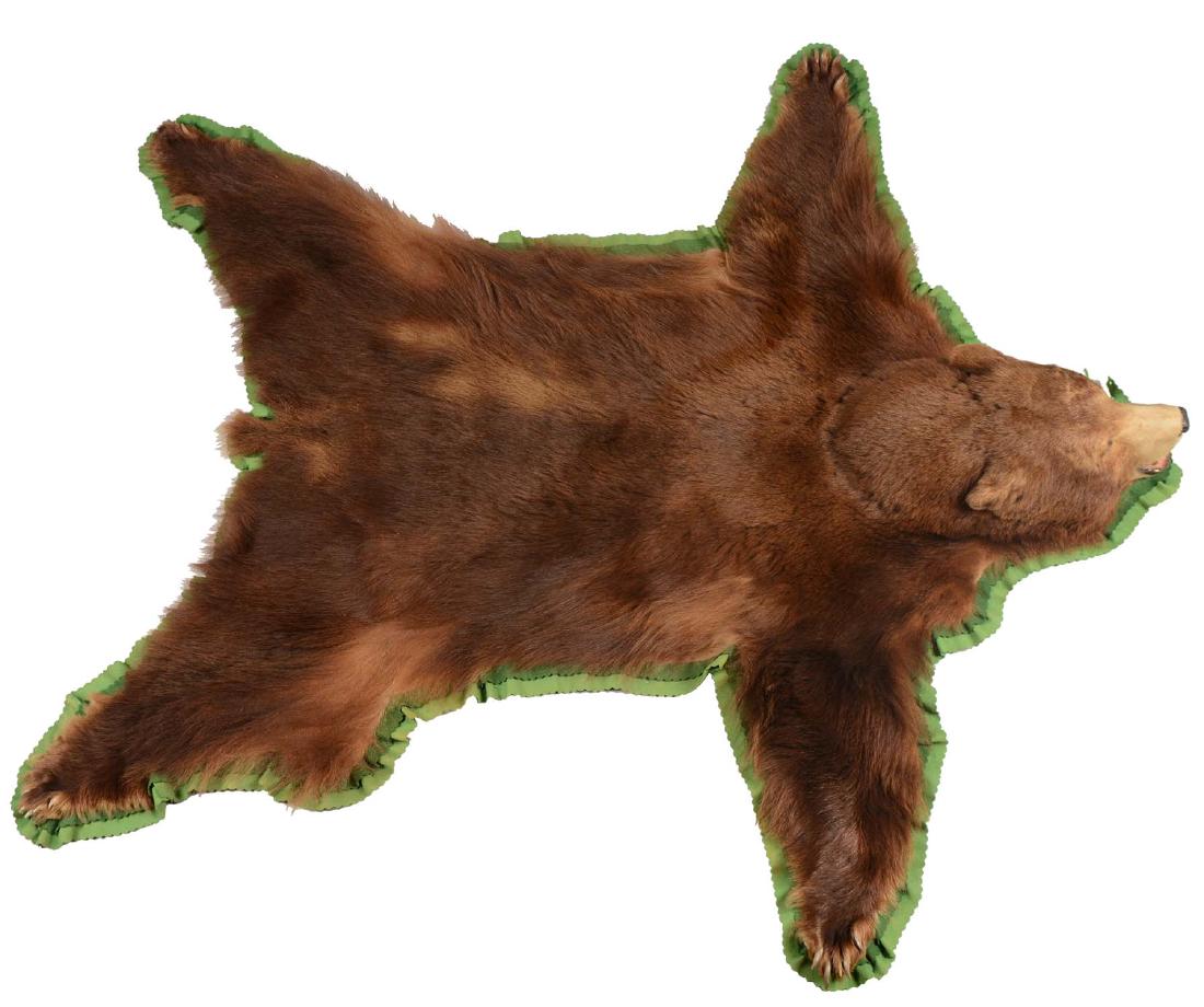 Brown Bear Skin Rug. (1 of 7)