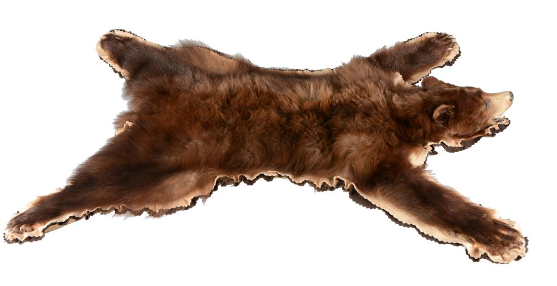Black Bear Skin Rug. (1 of 6)