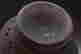 item-53755141=16