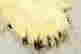 item-56034703=5