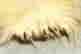 item-56034703=7