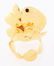 18K Yellow Gold Floral Ring. - 5